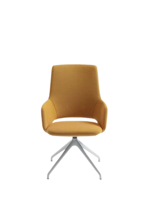 Picture of Office Chair